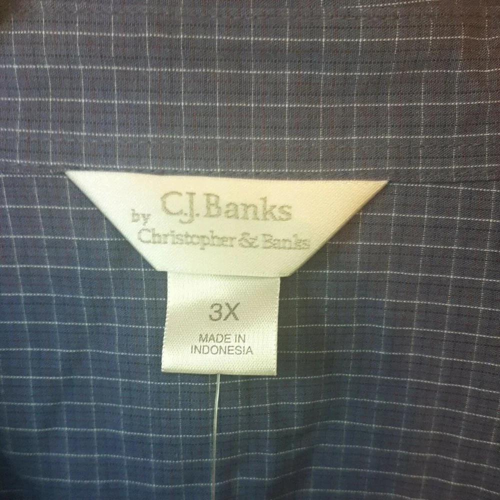 3X CJ Banks Women's Blue Plaid Long Sleeve Top Shirt Blouse